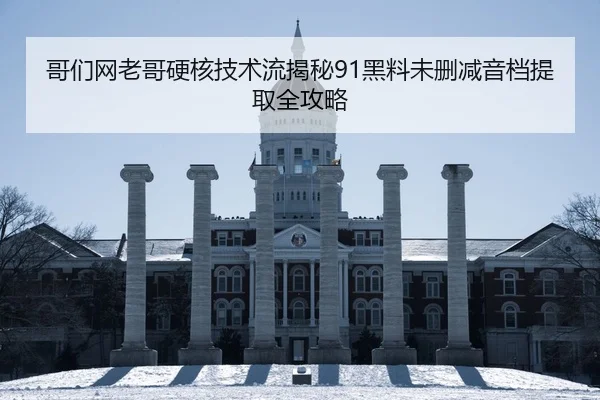 哥们网老哥硬核技术流揭秘91黑料未删减音档提取全攻略