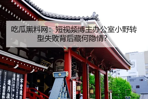 chi-gua-hei-liao-wang-duan-shi-pin-bo-zhu-ban-gong-shi-xiao-ye-zhuan-xing-shi-bai-bei-hou-cang-he-yin-qing-2-544.jpg