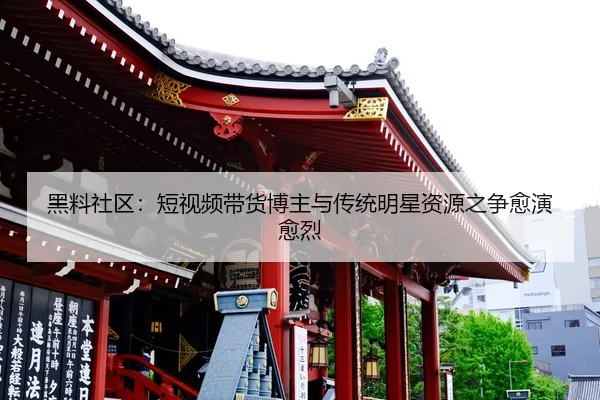 hei-liao-she-qu-duan-shi-pin-dai-huo-bo-zhu-yu-chuan-tong-ming-xing-zi-yuan-zhi-zheng-yu-yan-yu-lie-2-539.jpg